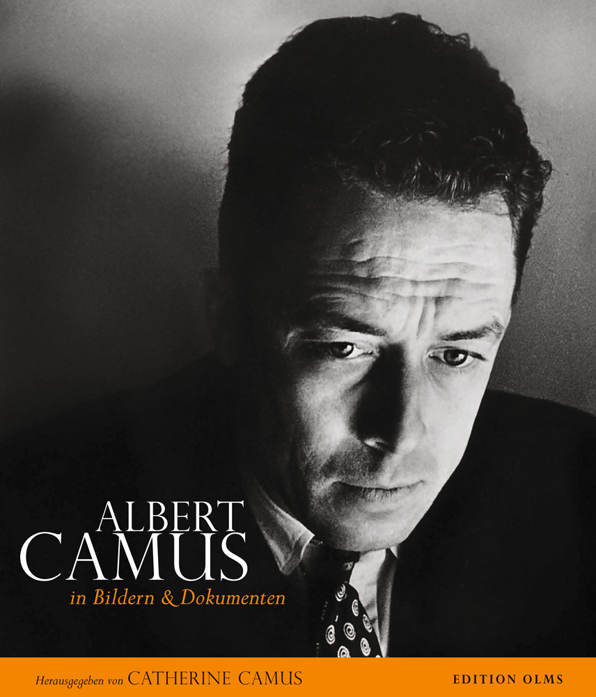 Camus the stranger essay questions